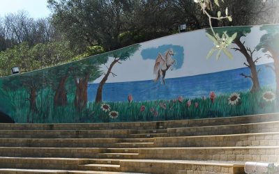 Avvio delle attività del progetto