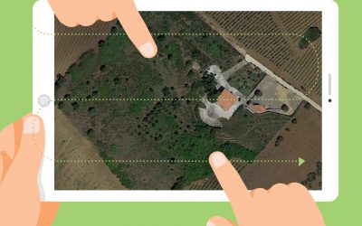 Progettiamo insieme il Nuovo Giardino della Memoria: i risultati del processo