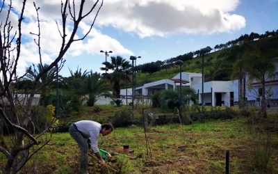 Al via i lavori per il nostro giardino storico